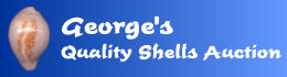 George Shells Auction